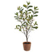 38" Blossoming Photinia Leaf Silk Plant w/Clay Pot -Green (Pack of 2) - LPP747-GR