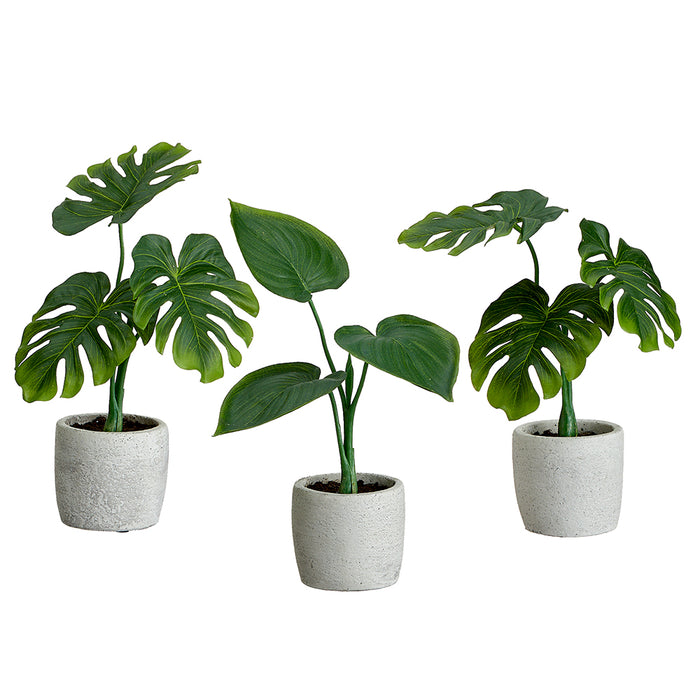 assorted philodendron 9" Set Of 3 Assorted Silk Philodendron Plants w/Cement Pots -Green — Silks Are Forever