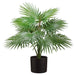 25" Real Touch Silk Fountain Palm Plant w/Plastic Pot -Green (pack of 4) - LPP925-GR