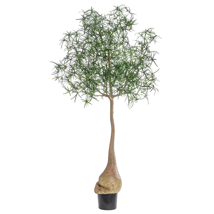 8' PEVA Queensland Bottle Leaf Artificial Tree w/Plastic Pot -Green - LPQ241-GR