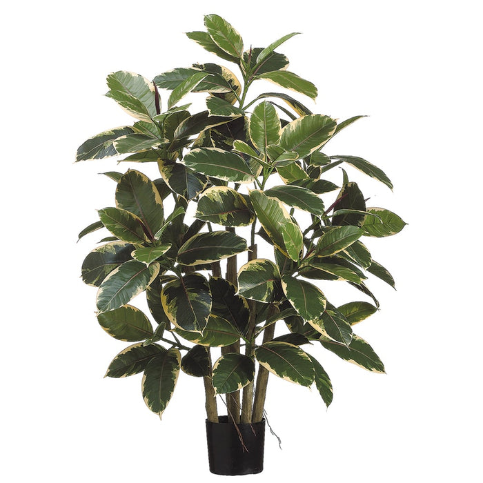 silk rubber tree Allstate Artificial Variegated Rubber Leaf Potted Plant