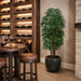 6' Rhapis Silk Palm Tree w/Pot -2 Tone Green (Pack of 2) - LPR316-GR/TT