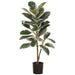 40" Rubber Leaf Silk Tree w/Pot -Green/Variegated - LPR817-GR/VG