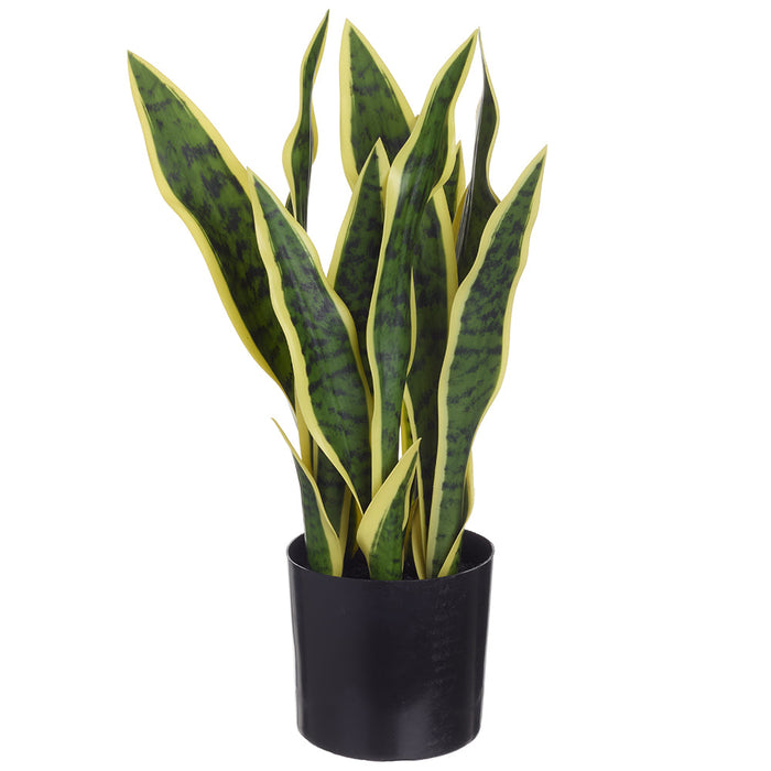 17" Sansevieria Snake Artificial Plant w/Pot -Green/Cream (Pack of 6) - LPS007-GR/CR