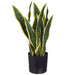 17" Sansevieria Snake Artificial Plant w/Pot -Green/Cream (Pack of 6) - LPS007-GR/CR