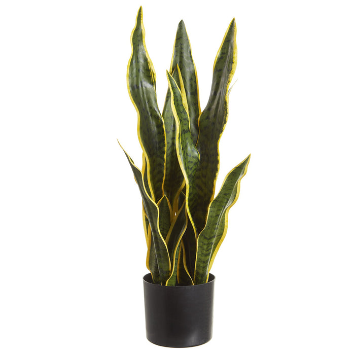 28" Sansevieria Snake Artificial Plant w/Pot -Green/Variegated (Pack of 2) - LPS008-GR/VG
