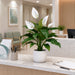 23" Flowering Peace Lily Spathiphyllum Silk Plant w/Plastic Pot -Green/White (Pack of 6) - LPS023-GR/WH