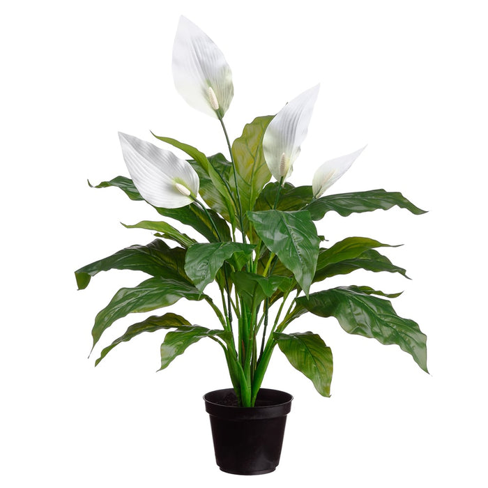 plastic peace lily 23" Peace Lily Spathiphyllum Silk Plant w/Plastic Pot -Green/White (Pack of 6)