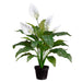 23" Peace Lily Spathiphyllum Silk Plant w/Plastic Pot -Green/White (pack of 6) - LPS023-GR/WH