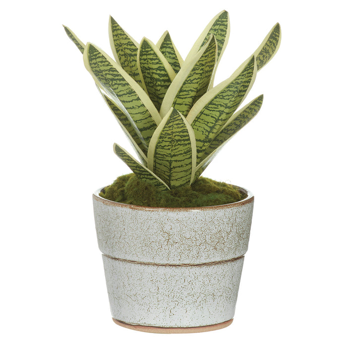 10" Sansevieria Snake Artificial Plant w/Ceramic Pot -Green/Variegated - LPS100-GR/VG