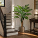 5'11" Giant Split Leaf Philodendron Monstera Plant w/Plastic Pot -Green (Pack of 2) - LPS116-GR