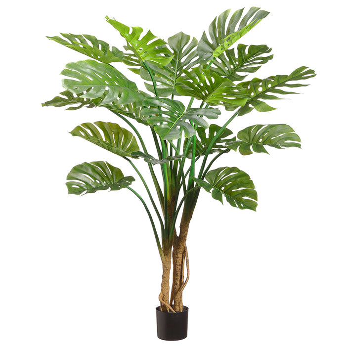 large philodendron monstera Giant Split Leaf Philodendron Monstera Plant w/Plastic Pot -Green — Silks Are Forever