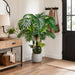 5'7" Triple Trunk Selloum Philodendron Leaf Silk Plant w/Plastic Pot -Green (Pack of 2) - LPS167-GR