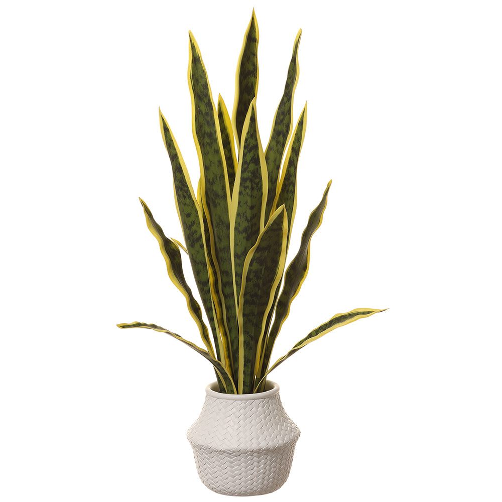 faux sansevieria snake plant 28" Sansevieria Snake Artificial Plant w/Pot -Green/Yellow — Silks Are  Forever