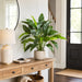 29.5" Silk Peace Lily Spathiphyllum Plant w/Pot -Green (Pack of 2) - LPS230-GR