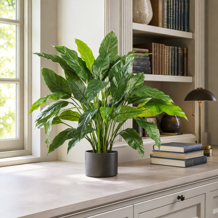 29.5" Silk Peace Lily Spathiphyllum Plant w/Pot -Green (Pack of 2) - LPS230-GR