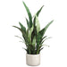28" Sansevieria Snake Artificial Plant w/Pot -2 Tone Green (Pack of 2) - LPS245-GR/TT