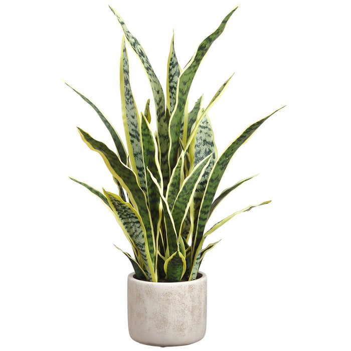 28" Sansevieria Snake Artificial Plant w/Pot -Variegated (Pack of 2) - LPS245-VG