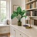 28" Peace Lily Spathiphyllum Leaf Silk Plant w/Basket -Green (Pack of 2) - LPS400-GR
