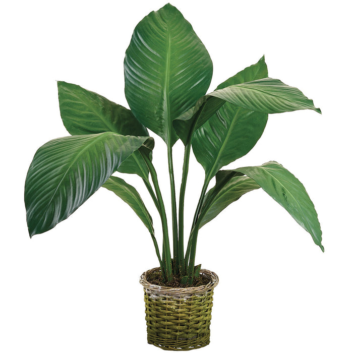 28" Peace Lily Spathiphyllum Leaf Silk Plant w/Basket -Green (Pack of 2) - LPS400-GR