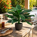 27" Outdoor UV-Resistant Artificial Peace Lily Spathiphyllum Leaf Plant -Green (Pack of 2) - LPS409-GR