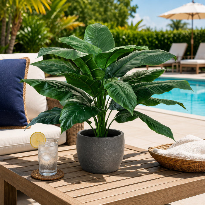 27" Outdoor UV-Resistant Artificial Peace Lily Spathiphyllum Leaf Plant -Green (Pack of 2) - LPS409-GR