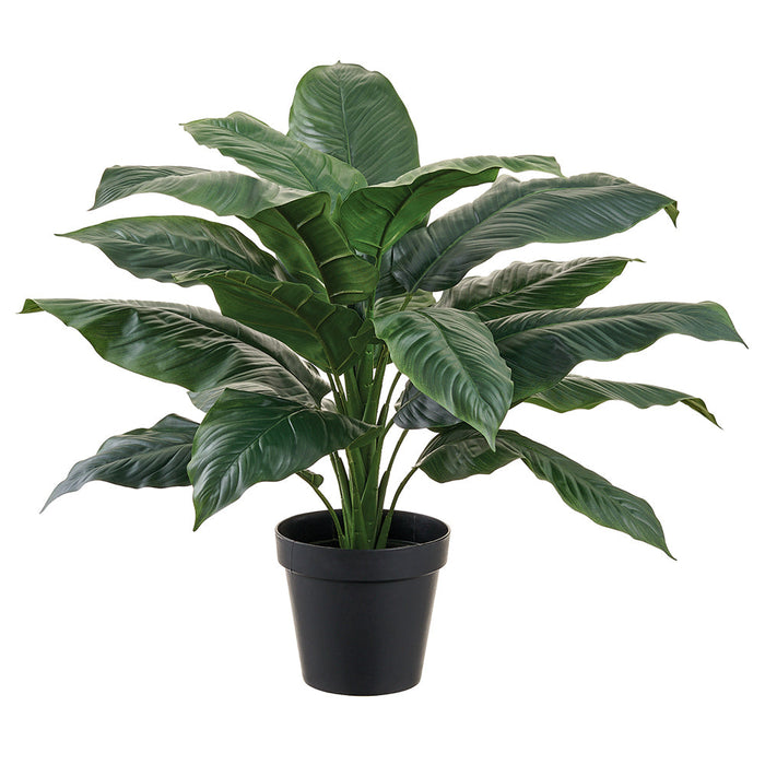 Outdoor UV-Resistant Artificial Peace Lily Spathiphyllum Leaf Plant — Silks  Are Forever