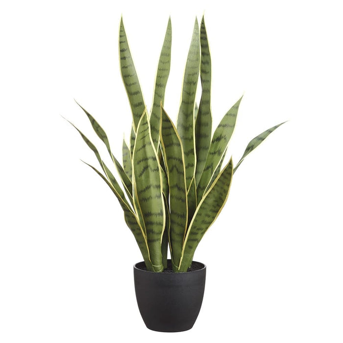3.5ft. Sansevieria Snake Artificial Plant | Michaels 3.5ft. Sansevieria Snake Artificial Plant | Michaels