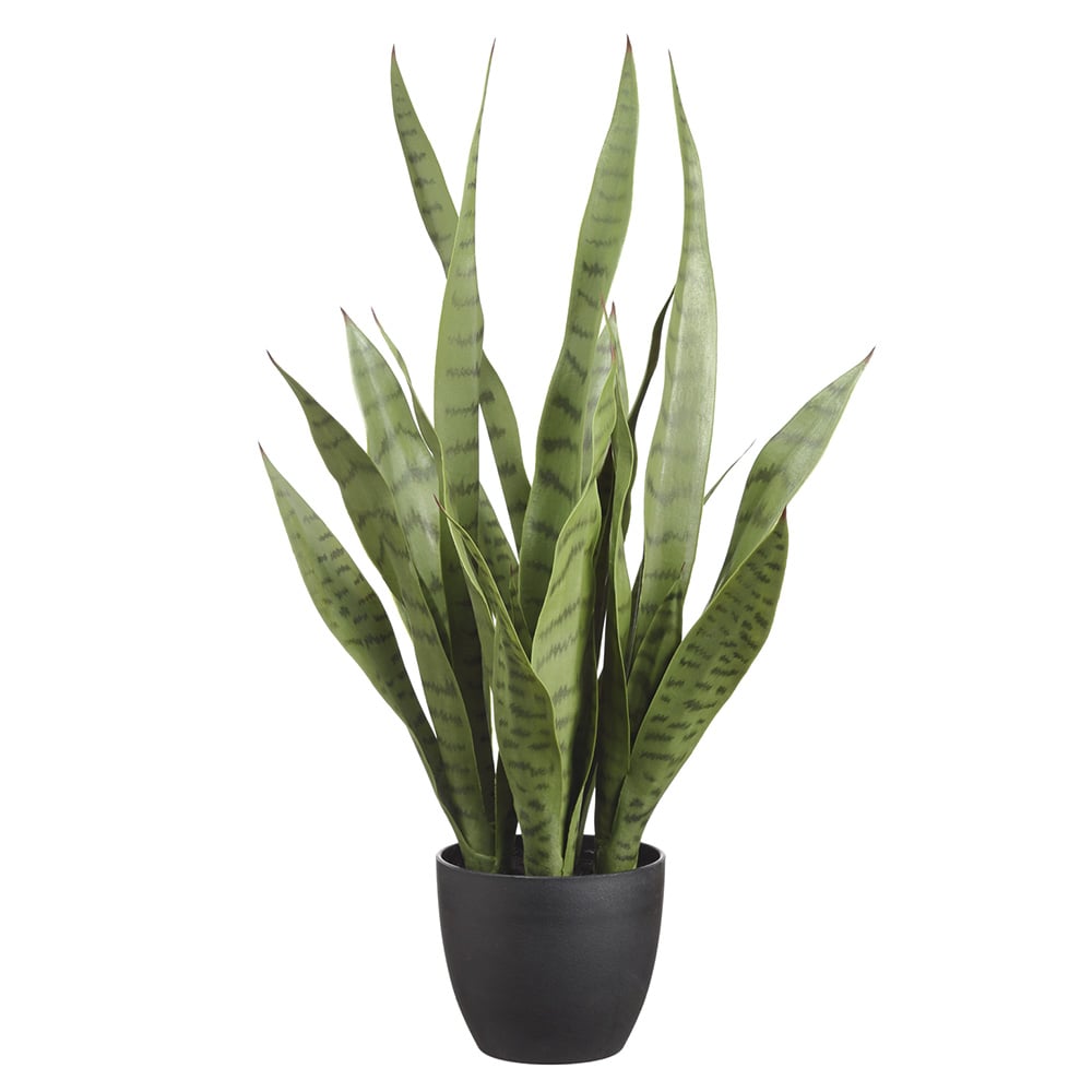 snake plant transparent background 24" Sansevieria Snake Artificial Plant w/Pot -Green