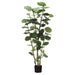 5' EVA Seagrape Leaf Silk Tree w/Pot (pack of 2) - LPS481-GR