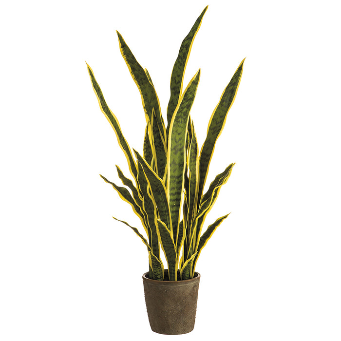 sansevieria snake artificial plant 37.5" Sansevieria Snake Artificial Plant w/Cement Pot -Variegated — Silks Are Forever