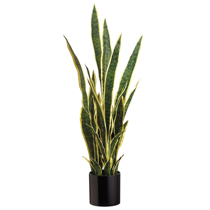sansevieria artificial snake plant in metal planter 36" Sansevieria in Black Pot Variegated
