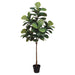 6' Fiddle Leaf Fig Silk Tree w/Pot -Green (Pack of 2) - LPW161-GR