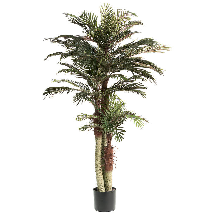 6' Triple Trunk Phoenix Silk Palm Tree w/Pot -Green (Pack of 2) - LPX801-GR
