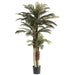 6' Triple Trunk Phoenix Silk Palm Tree w/Pot -Green (Pack of 2) - LPX801-GR