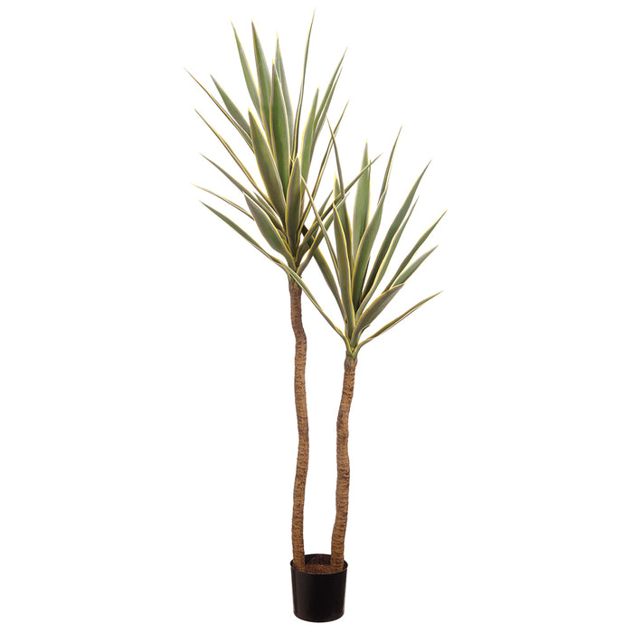 4'4" Double Trunk Silk Yucca Tree w/Pot -Green/Cream (pack of 2) - LPY035-GR/CR