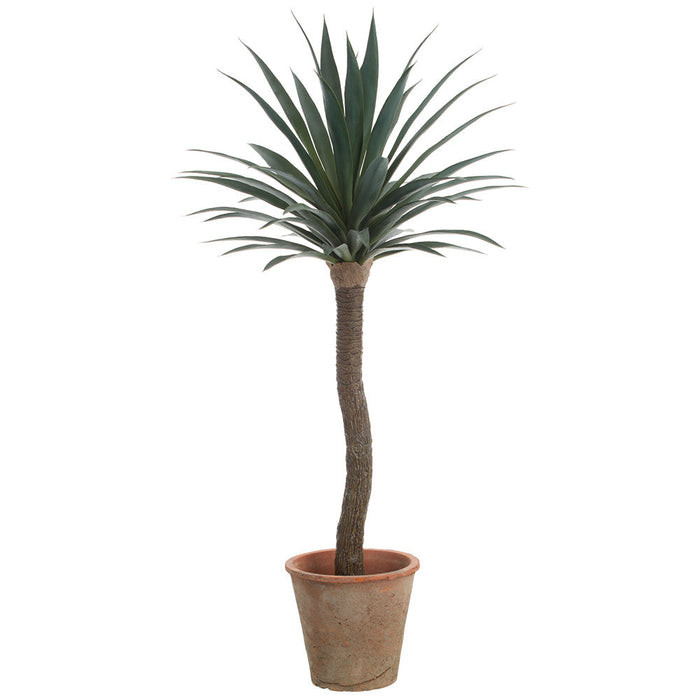 4' Yucca Silk Tree w/Clay Pot -Green/Gray