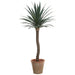 4' Yucca Silk Tree w/Clay Pot -Green/Gray (Pack of 2) - LPY040-GR/GY
