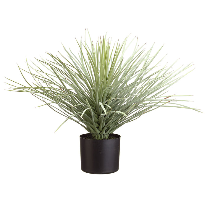 plastic yucca plant 19" Artificial Whipple Yucca Plant w/Plastic Pot -Flocked Green (Pack of 2)