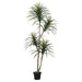 6' Yucca Silk Tree w/Pot -Green/Burgundy (pack of 2) - LPY182-GR/BU
