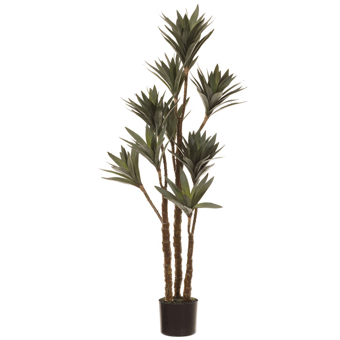plastic yucca plant 4' Yucca Artificial Plant w/Plastic Pot -Green (Pack of 2)