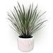 16" Whipple Yucca Silk Plant w/Cement Pot -Green/Gray - LPY420-GR/GY
