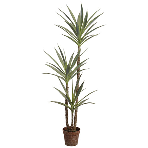 4'11" Silk Yucca Tree w/Pot -Green (pack of 2) - LPY461-GR