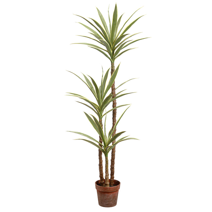 4'11" Silk Yucca Tree w/Pot -Variegated (pack of 2) - LPY461-VG