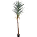 6'10" Yucca Artificial Tree w/Pot -Green/Gray - LPY581-GR/GY