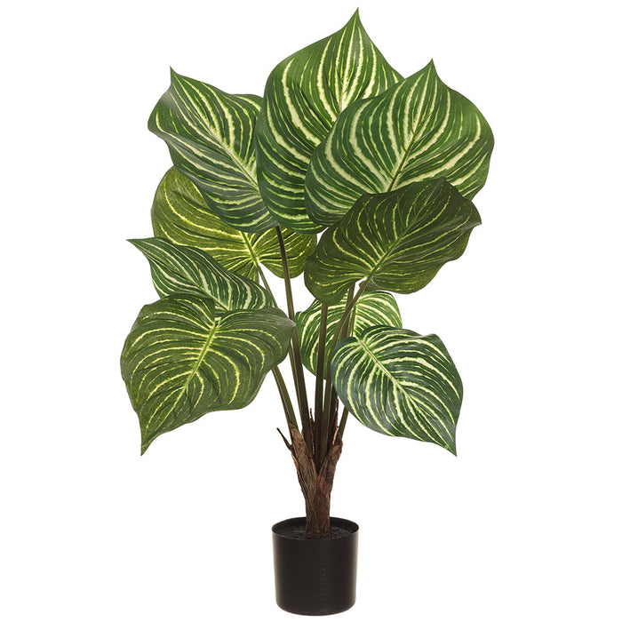 28" Silk Zebra Leaf Plant w/Pot -2 Tone Green (pack of 6) - LPZ001-GR/TT