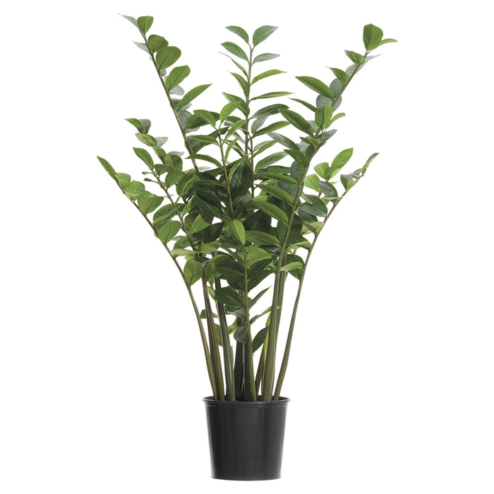 zanzibar succulent 4' Zanzibar Gem Zamioculcas Succulent Artificial Plant w/Pot -Green