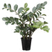 27" Zanzibar Gem Zamioculcas Succulent Artificial Plant w/Pot -Green (pack of 3) - LPZ065-GR