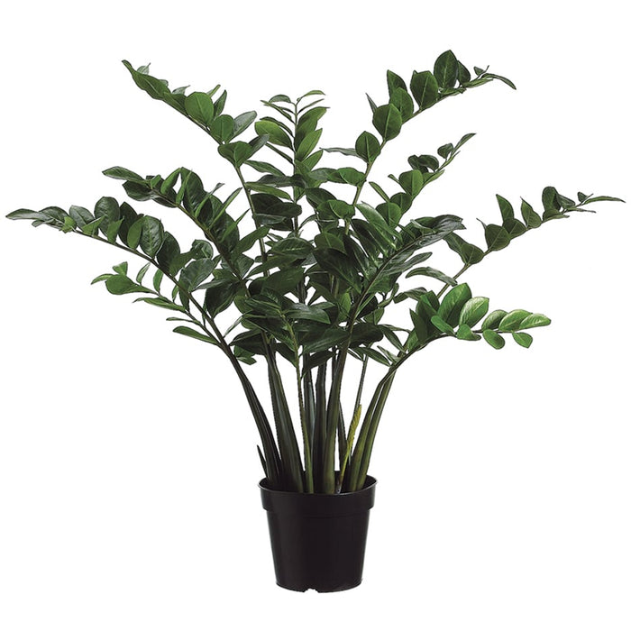 36" Zanzibar Gem Zamioculcas Succulent Artificial Plant w/Pot -Green - LPZ304-GR/TT