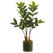 22" Zanzibar Gem Zamioculcas Succulent Artificial Plant w/Clear Plastic Pot -Green (Pack of 3) - LPZ815-GR